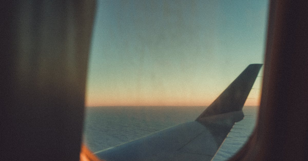 A view of a plane